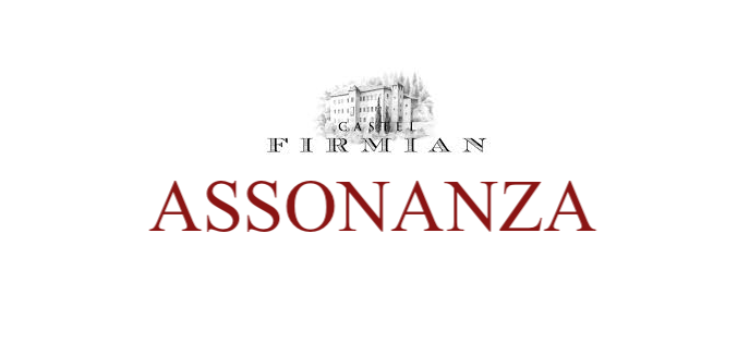 Assonanza