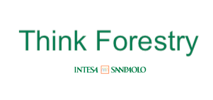 Think Forestry